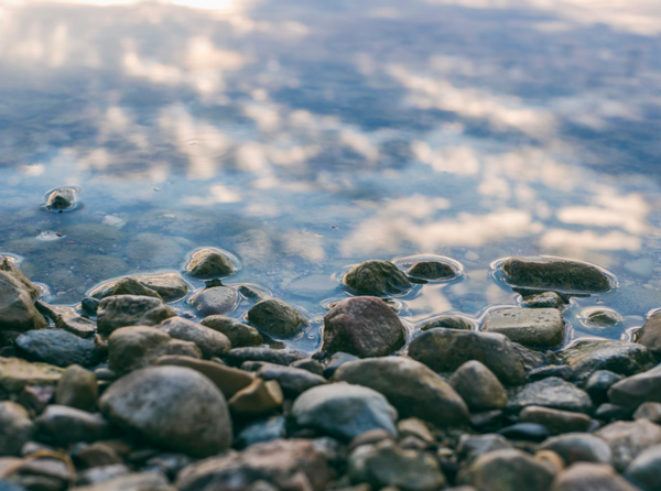 15 Stunning Ways to Use River Rocks in Your Yard (You'll Wish You Star ...