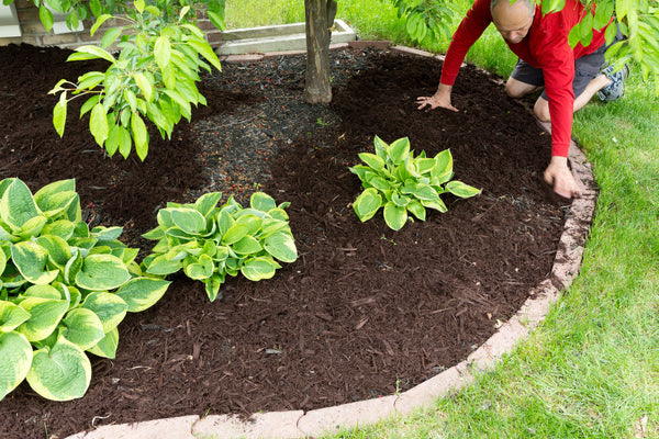 The Many Benefits of Mulch – Asphalt Materials