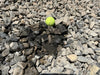 decorative landscaping rock stormy gray 1.5