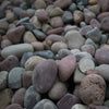 These colored landscaping rocks from Kilgore Landscape Center are Rainbow Beach Cobble with quarter